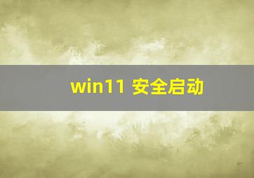 win11 安全启动